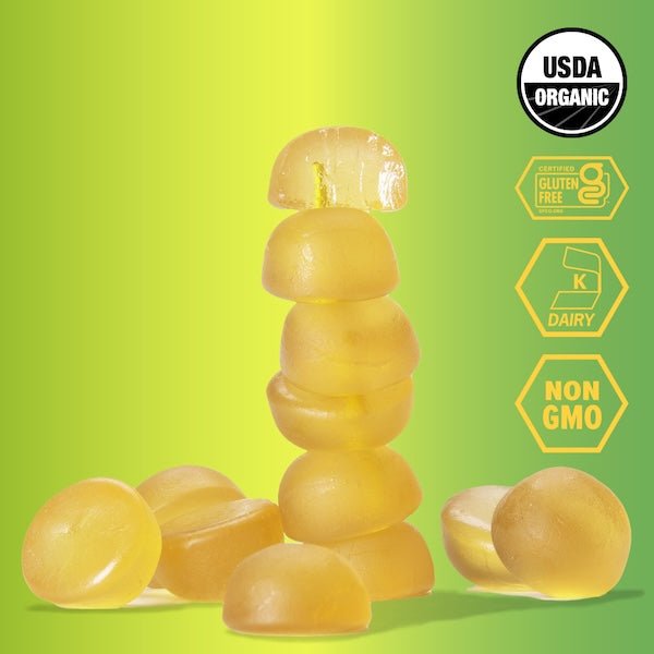 Caffeinated Stingerita Lime Energy Chews Box of 12